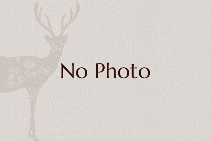 NO PHOTO